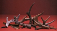 Antlers, Central Altiplano, Formative