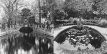 Parc Du Luxembourg, Paris and The Conservatory, New York