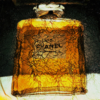 Gilles Larrain's Chanel Paintings