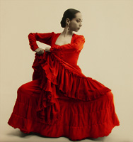 Gilles Larrain's Flamenco